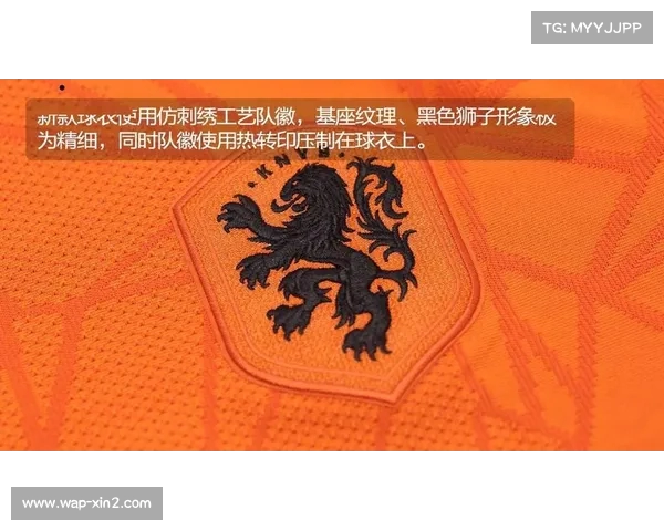 荷兰国家队队服演变历程及队徽变迁的深度探索 荷兰国家队队服演变历程及队徽变迁的深度探索