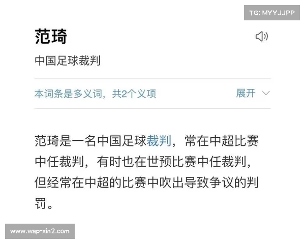 深度解析中超裁判的职责规范及其确保比赛公正的有效措施 深度解析中超裁判的职责规范及其确保比赛公正的有效措施
